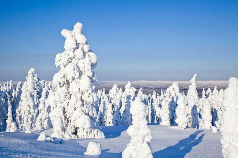 Rovavisit Apartments Siljo Rovaniemi Exteriér fotografie